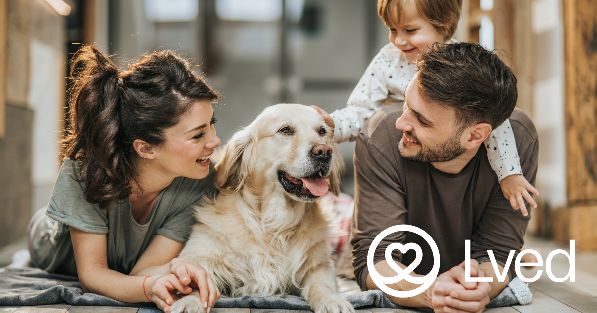 Happy family with a golden retriever